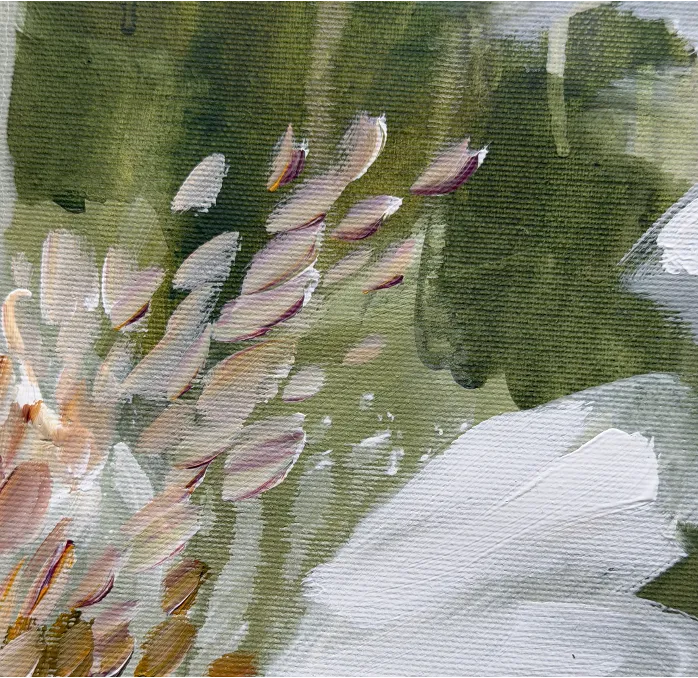 LS Metamorphosis.4.5.webp