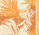 126 001 PALMS 11.webp