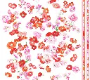 126 000 POPPIES 4.webp